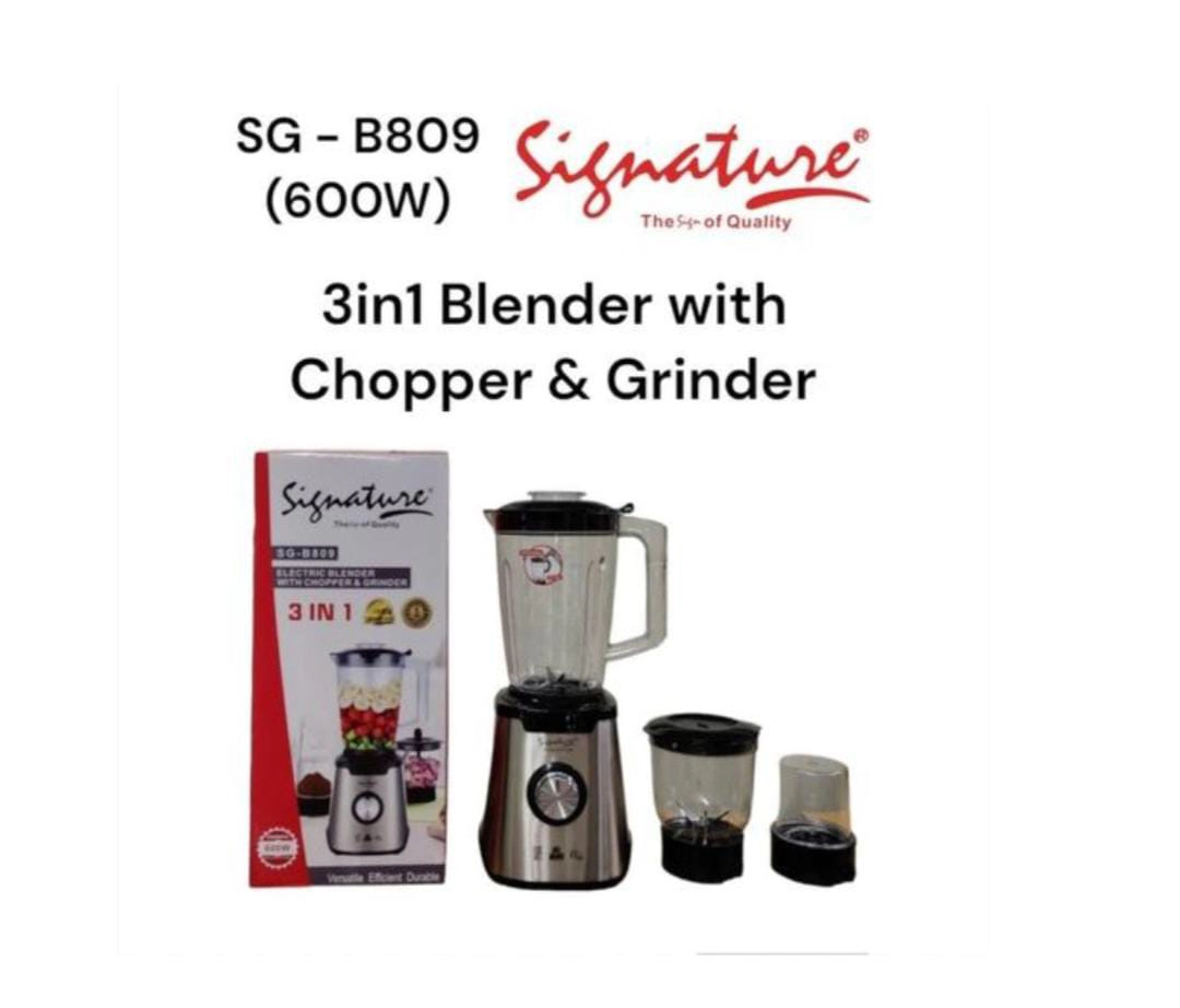 128094 SGB809 SIG BLENDER 3IN1 600W
