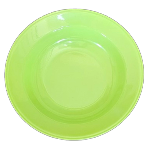 PO22C OASIS COLURED SOUP PLATE PC