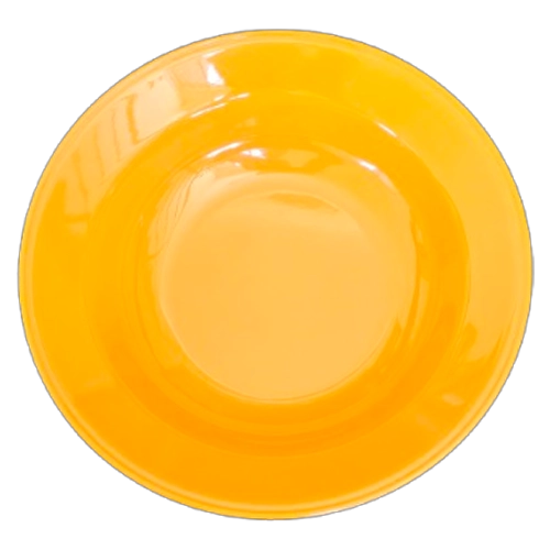 PO22C OASIS COLURED SOUP PLATE PC