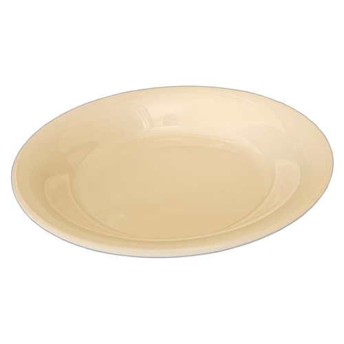 PO27 OASIS 10 INCH S/P PC