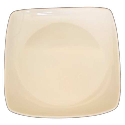 PO04 OASIS SQ DINNER PLATE 9.5 INCH PC