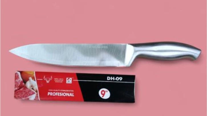Stainless Steel Handle Knife 9 Inch DH09