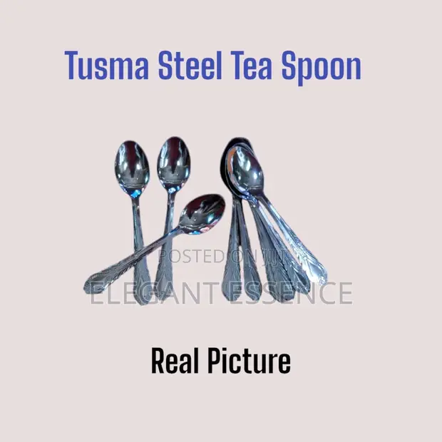 Tusma Stainless Steel Tea Spoon - Dozen (TTS)
