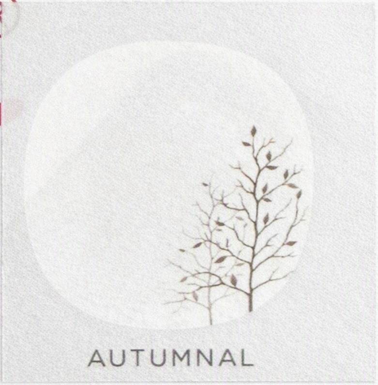 Qds39aut Quadra Dinner Set 39pc Autumnal